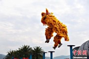 交换女人（文化中国行）壮乡狮舞闯南洋：脚踏“云桩” 饮誉海内外